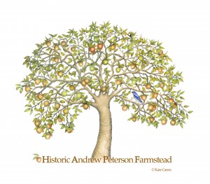 The Historic Andrew Peterson Apple Tree